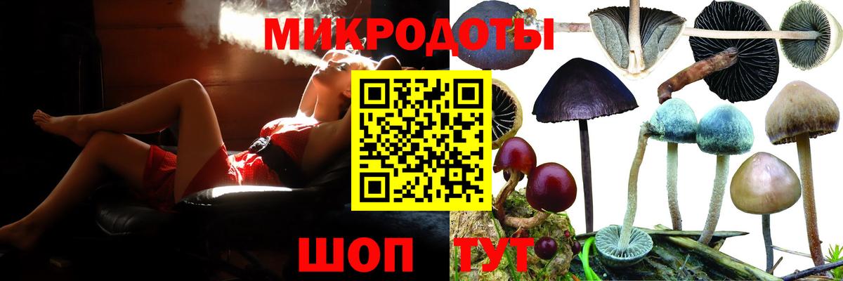 Пыть-Ях  Галлюциногенные грибы Psilocybe  Вход с VPN 